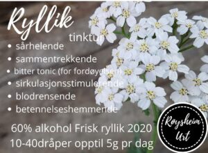 Ryllik