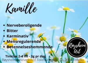 Kamille